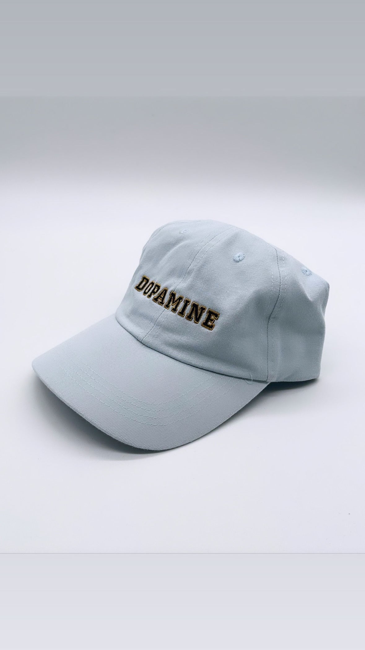 Dopamine 6P Frat Hat